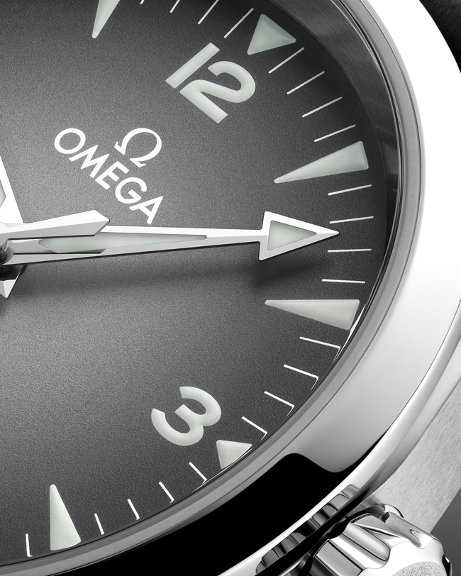 OMEGA Seamaster Railmaster Grey Dial Leather Strap