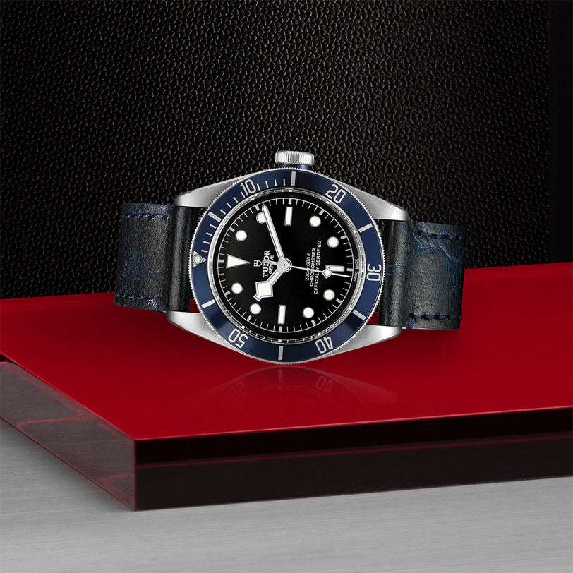 The TUDOR Black Bay, a black and silver wristwatch with a dark strap, is displayed on a red and black platform.