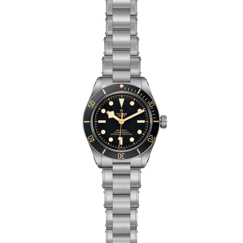 The TUDOR Black Bay 58, a vintage-inspired stainless steel wristwatch with a black dial, luminous markers, and rotating bezel, is displayed against a white background—reflecting classic diving watch style.