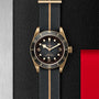 The TUDOR Black Bay Bronze wristwatch is showcased with a striped fabric strap against a textured black and metallic background with red accents, capturing the classic elegance of premium diving watches.
