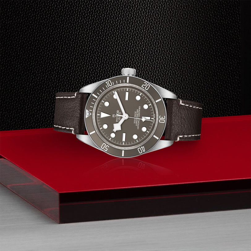 A TUDOR Black Bay 58 925 wristwatch with a silver and black case, 39 mm diameter, and dark leather strap is displayed on a red and black geometric surface.