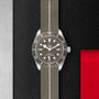 The TUDOR Black Bay 58 925 divers’ watch features a 39 mm case, grey dial and bezel, white markers, and an olive-green fabric strap, displayed on a textured black and red background.