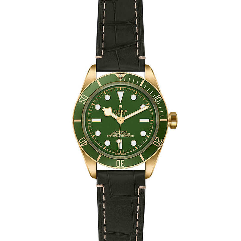 The TUDOR Black Bay 58 18K is a green and gold divers watch with a black leather strap, rotating bezel, and three hands, shown against a white background.