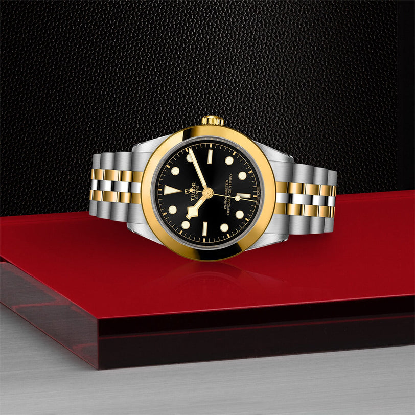 The TUDOR Black Bay One 39 S&G is a two-tone gold and silver wristwatch with a black dial and gold markers, shown on a red and silver surface against a textured black background.