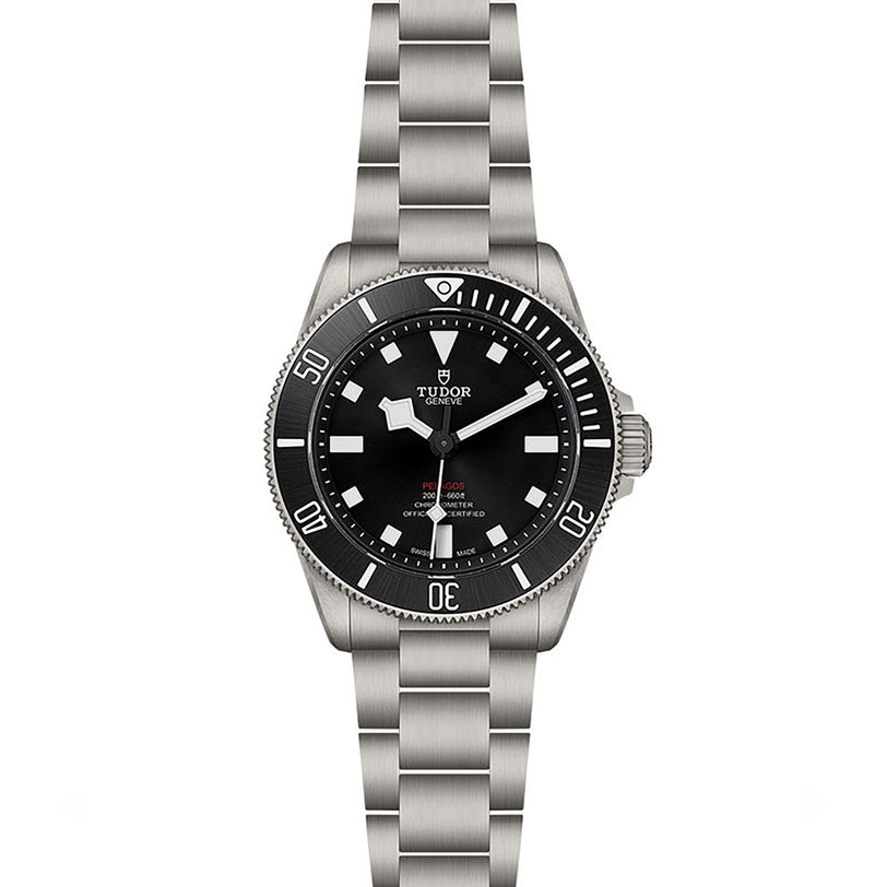 The TUDOR Pelagos 39 is a stainless steel professional dive watch featuring a black dial, white hour markers, and a rotating bezel, displayed against a white background.
