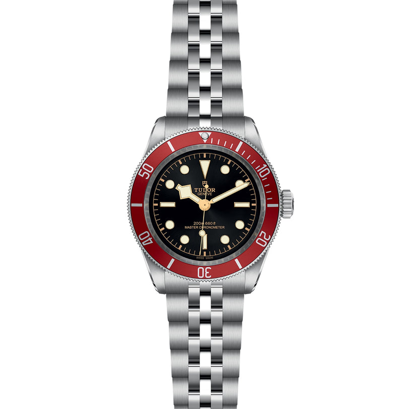 The TUDOR Black Bay is a stainless steel wristwatch with a burgundy bezel, black dial with round markers, silver link bracelet, and the Tudor branding visible on the dial.
