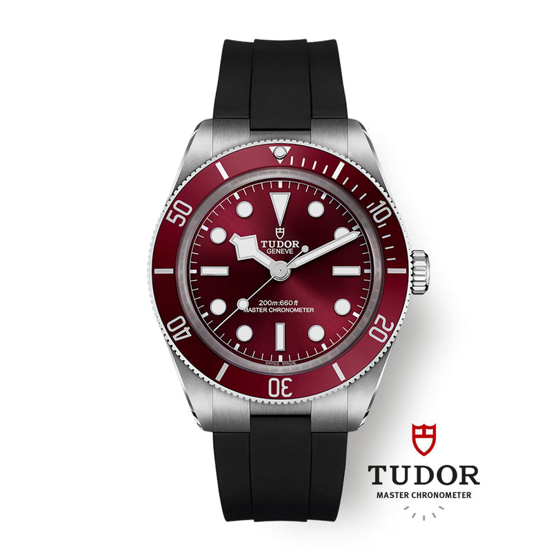 The TUDOR Black Bay 58 is a dive watch featuring a red bezel, black strap, and the Tudor Master Chronometer logo.