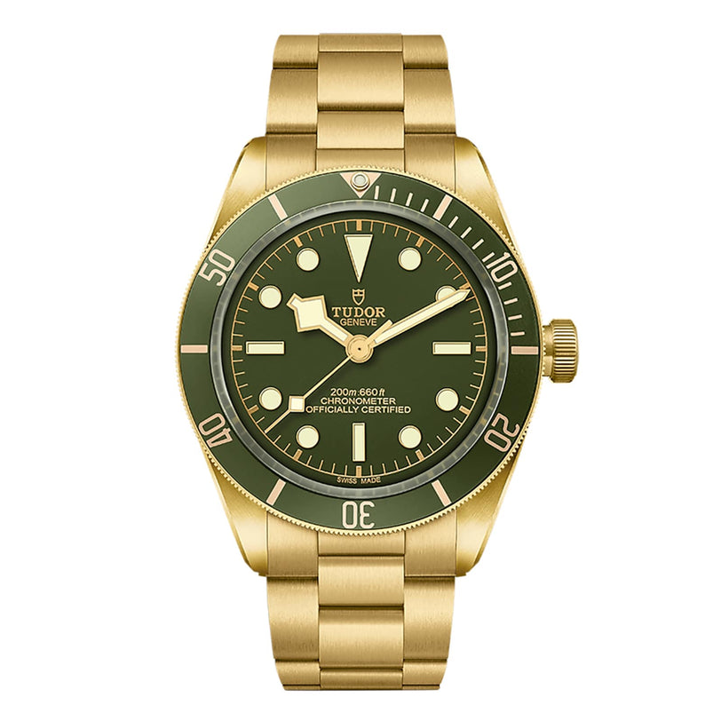 The TUDOR Black Bay 58 18K wristwatch features a green bezel and dial with gold hour markers and a metal bracelet.
