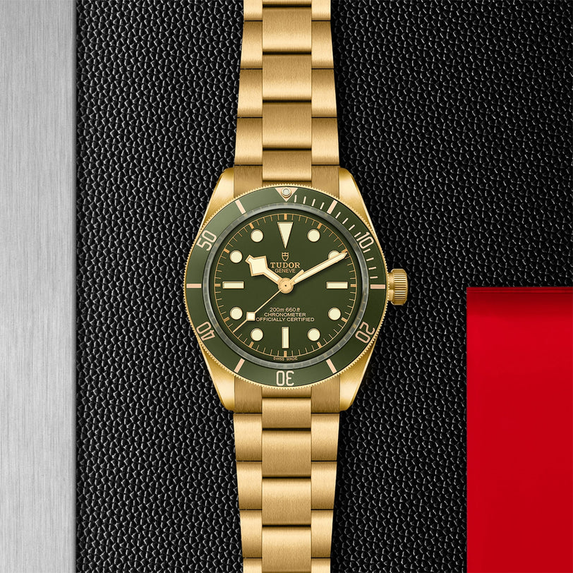 The TUDOR Black Bay 58 18K dive watch, featuring a gold case and green dial with bezel, is showcased on a textured black and silver background accented with red.