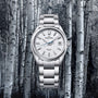 The Grand Seiko Spring Drive 5 Days Evolution 9 wristwatch, featuring a textured white dial, is showcased against birch trees, capturing the tranquil essence of Japanese nature in a monochrome forest setting.