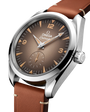OMEGA Seamaster Railmaster Brown Dial Leather Strap