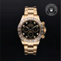 Rolex Certified Pre-owned Daytona M116568BR-0006 front on black background