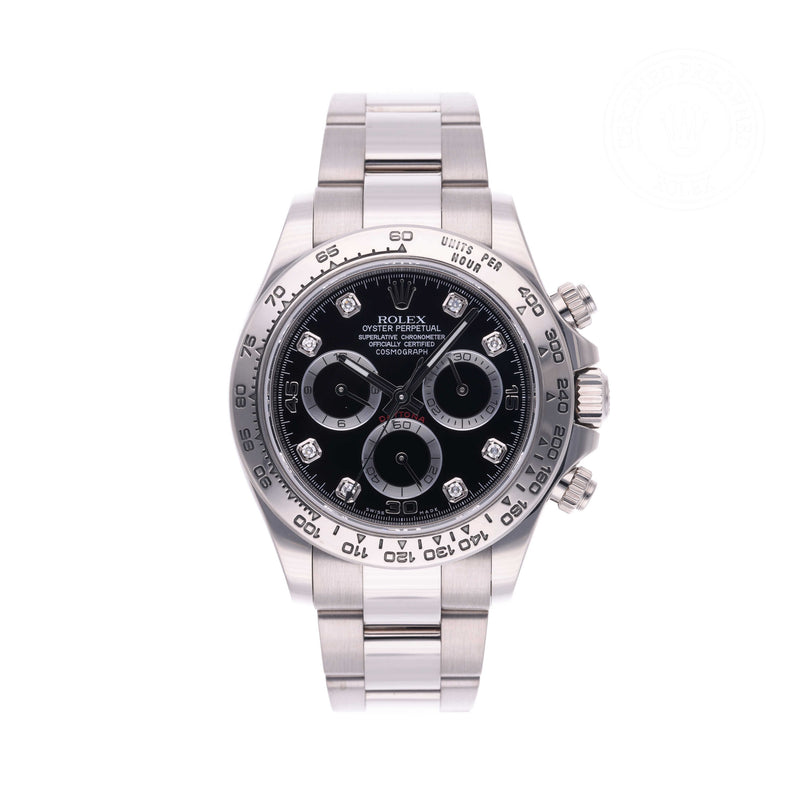 Rolex Certified Pre-owned Daytona M116509-0055 front on white background