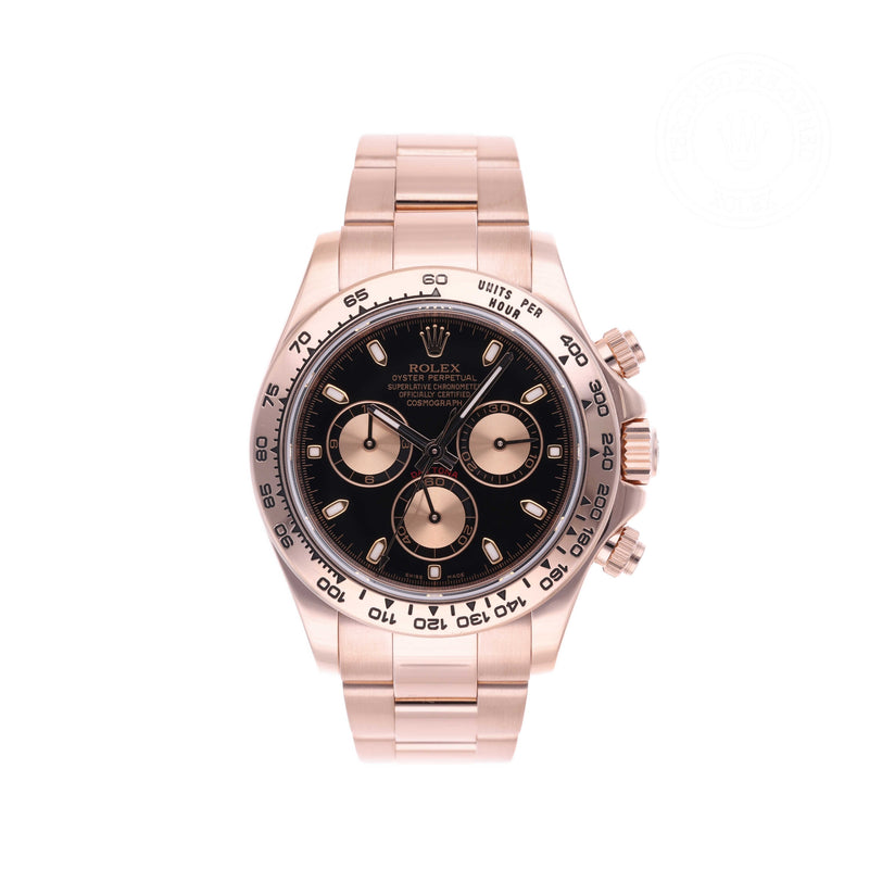 Rolex Certified Pre-owned Daytona M116505-0002 front on white background
