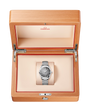 OMEGA Seamaster Railmaster Grey Dial Steel Bracelet