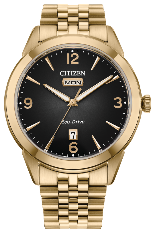 Citizen Rolan Steel 41 mm Eco Drive