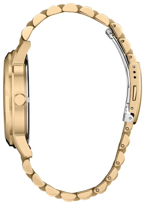 Citizen Rolan Steel 41 mm Eco Drive