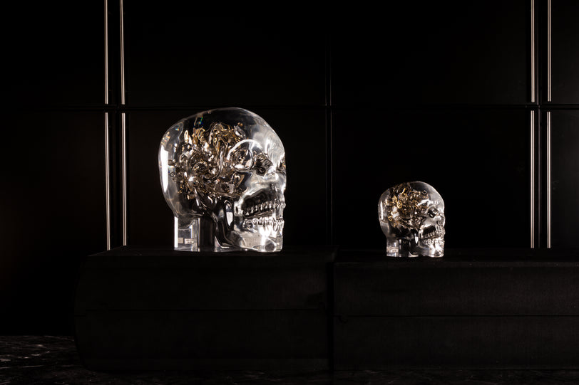 Berd Vay'e Lost In Time Large Skull