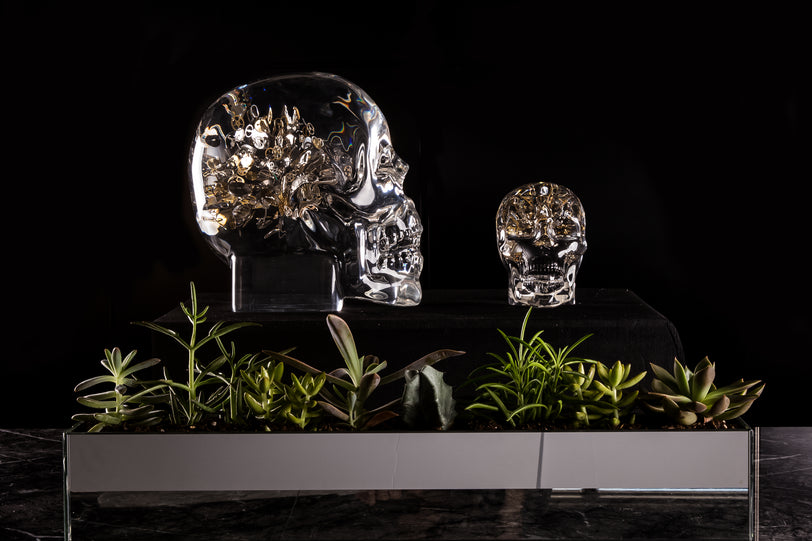 Berd Vay'e Lost In Time Large Skull