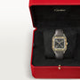 Cartier Santos-Dumont WGSA0097