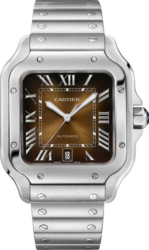 Cartier Santos de Cartier WSSA0064