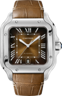Cartier Santos de Cartier WSSA0064