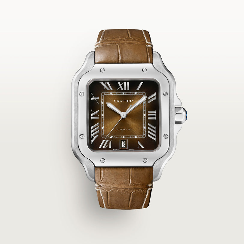 Cartier Santos de Cartier WSSA0064