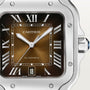 Cartier Santos de Cartier WSSA0064