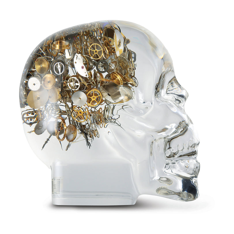 Berd Vay'e Lost In Time Large Skull