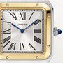 Santos Dumont Watch