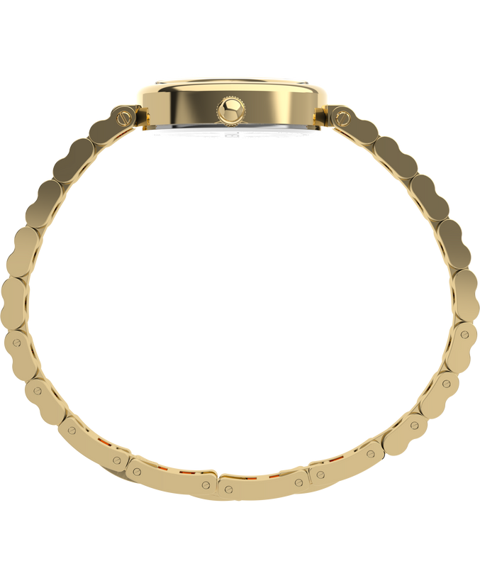 Cavatina® Luxe 22mm Stainless Steel Watch