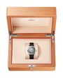 OMEGA Seamaster Railmaster Grey Dial Leather Strap