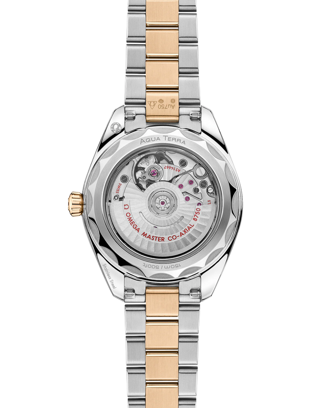 OMEGA Seamaster Aqua Terra 150M 30mm, Moonshine™ gold on Steel Watch, with a transparent caseback on a Moonshine™ gold on Steel integrated two-tone bracelet.