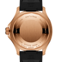 Superocean Automatic 42 Back