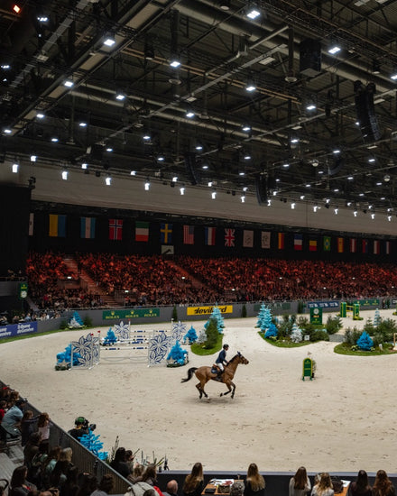 A rider on a horse competes in an indoor arena with jumps, watched by a large audience and flags above.