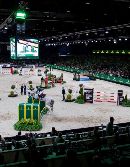 A horse and rider jump over an obstacle at an indoor equestrian event with a large audience watching.