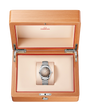 OMEGA Seamaster Railmaster Brown Dial Steel Bracelet