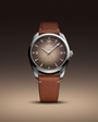 OMEGA Seamaster Railmaster Brown Dial Leather Strap