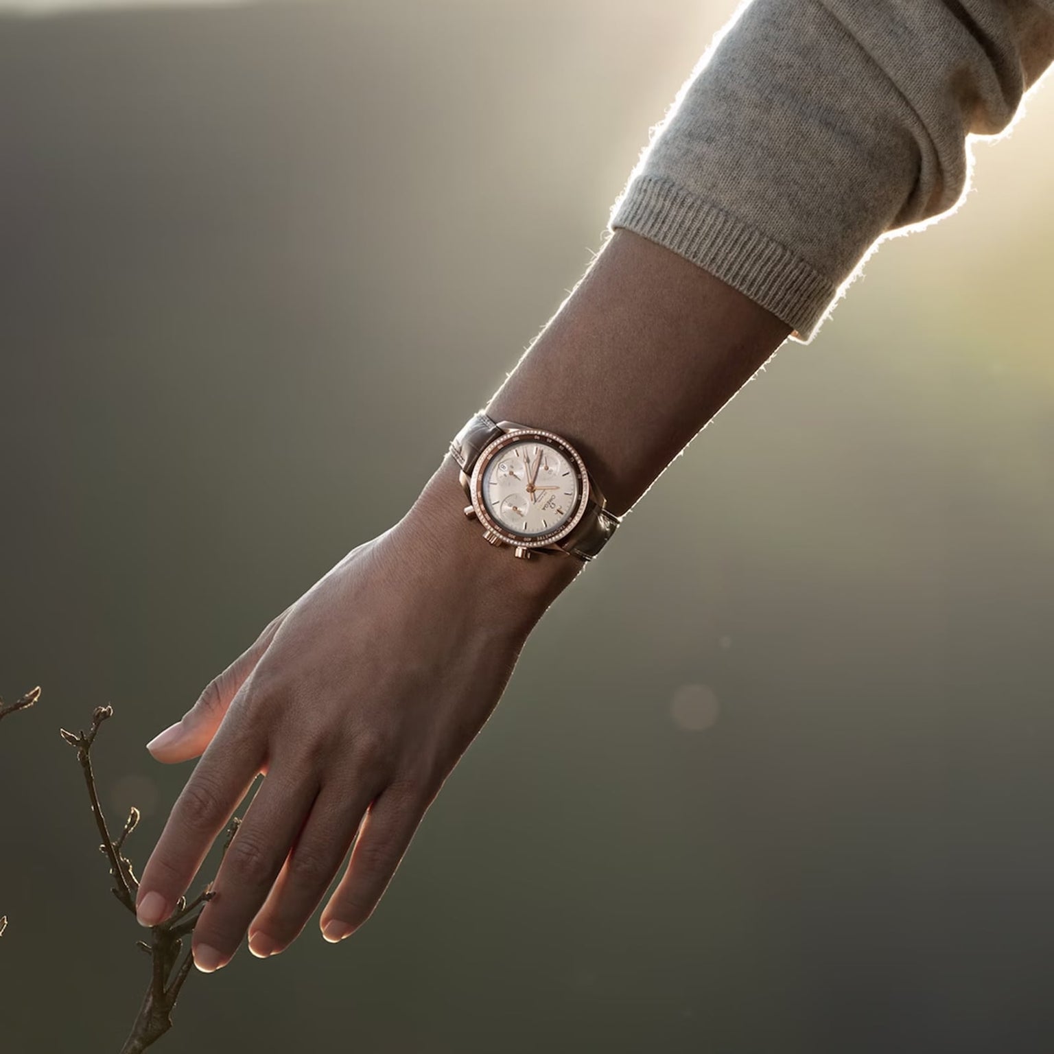 A person outdoors extends their arm downward, sunlight illuminating the background as they wear the OMEGA Speedmaster 38.