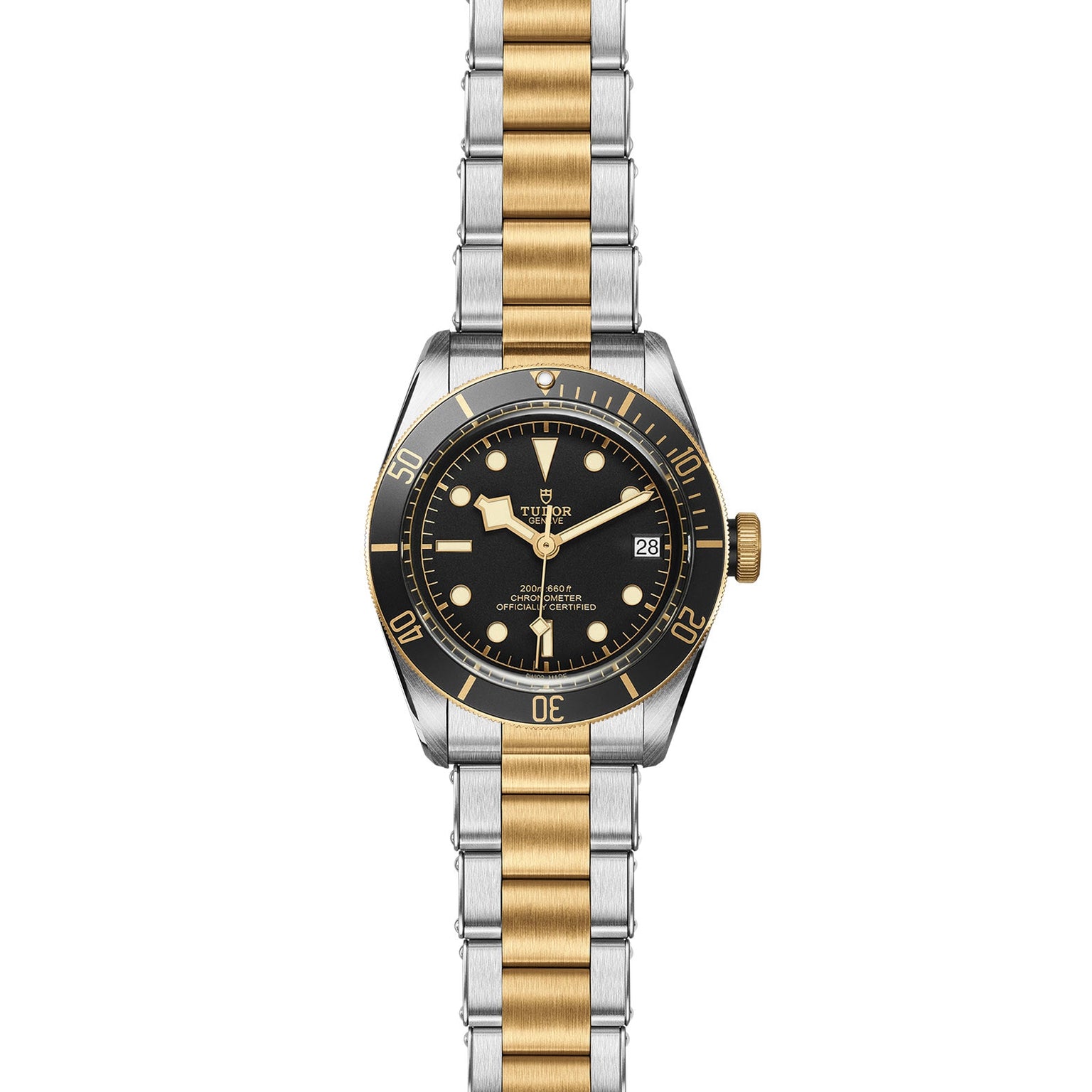 The TUDOR Black Bay S&G features a black dial, gold bezel, and a two-tone silver and gold bracelet, displaying the time at 10:10.