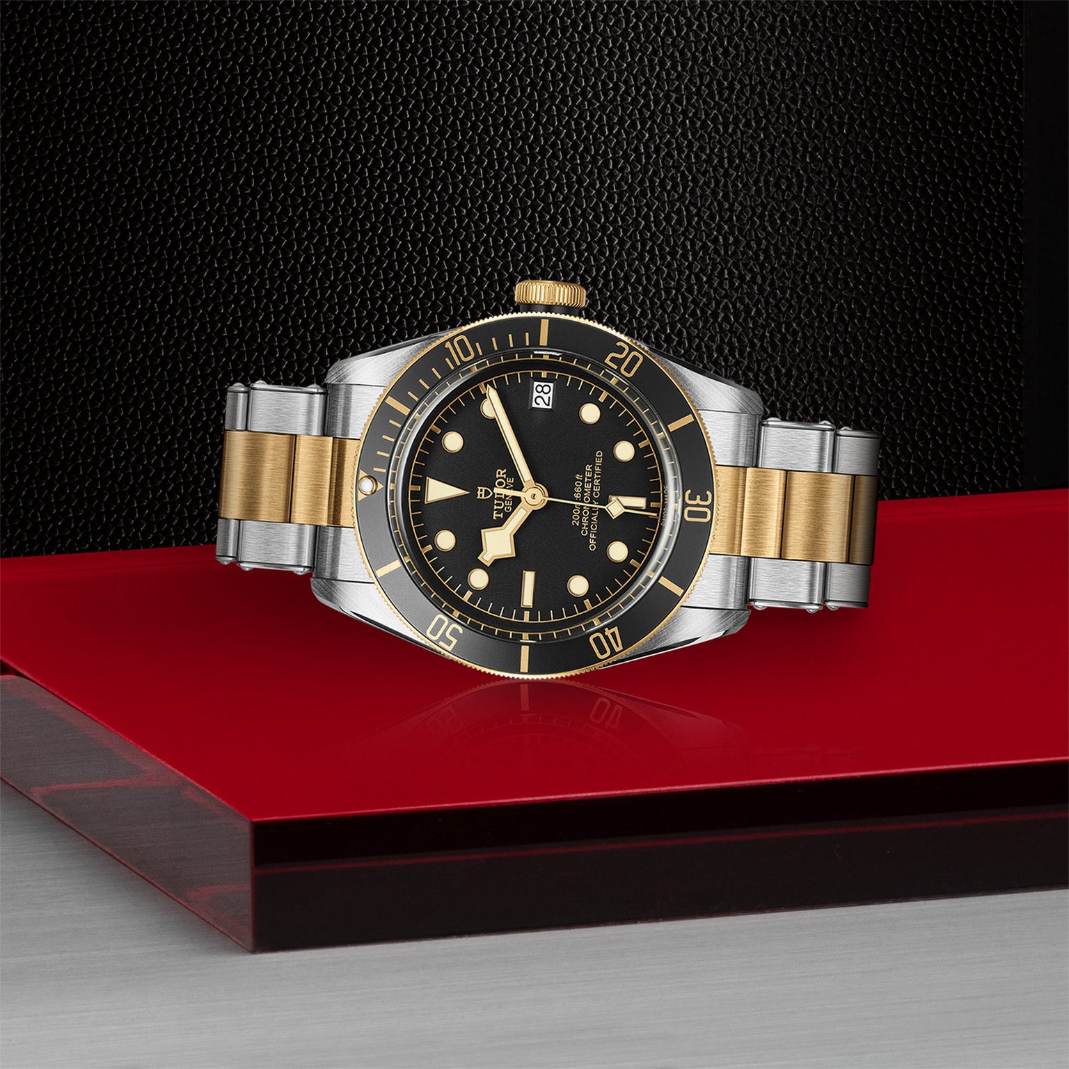 The TUDOR Black Bay S&G, a two-tone watch with a black bezel and dial, gold accents, and metal bracelet, is showcased on a red and metallic surface against a textured black background.