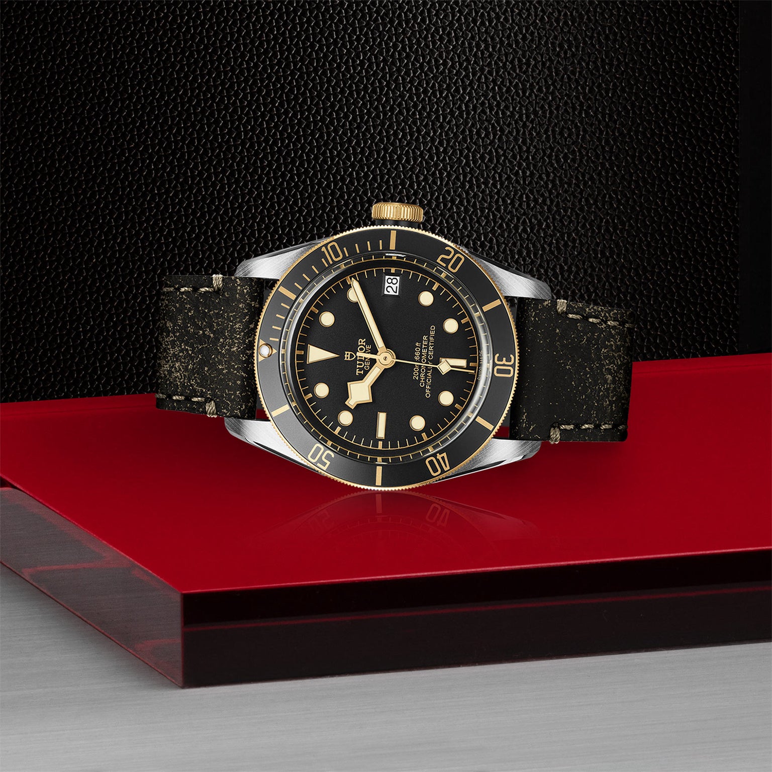 A TUDOR Black Bay S&G wristwatch with a black and gold finish and date display is showcased on a red platform against a textured black backdrop, highlighting its self-winding mechanical movement.