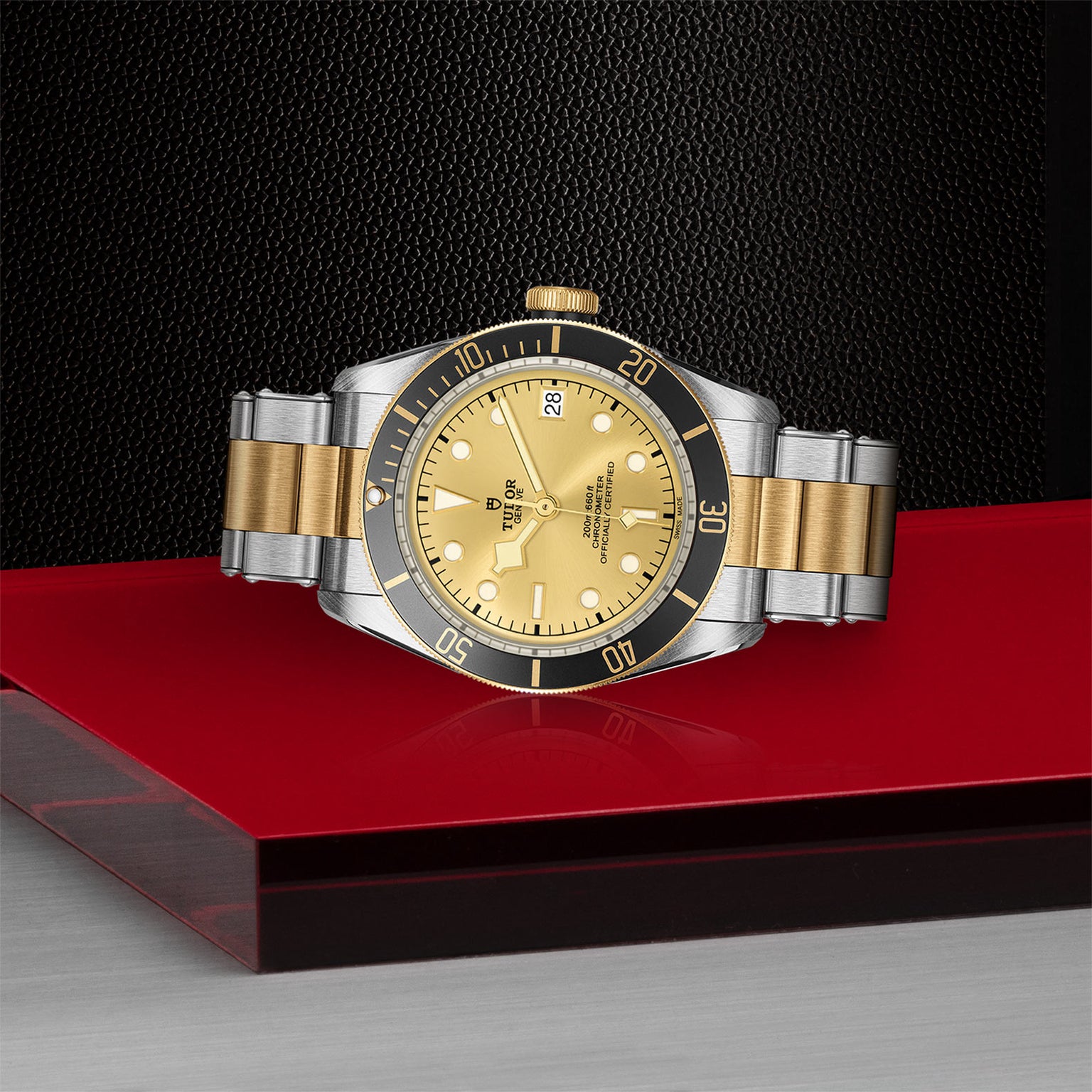 The TUDOR Black Bay S&G, a two-tone gold and silver wristwatch with a gold dial and bezel and self-winding mechanical movement, is displayed on a red and silver geometric stand against a textured black background.