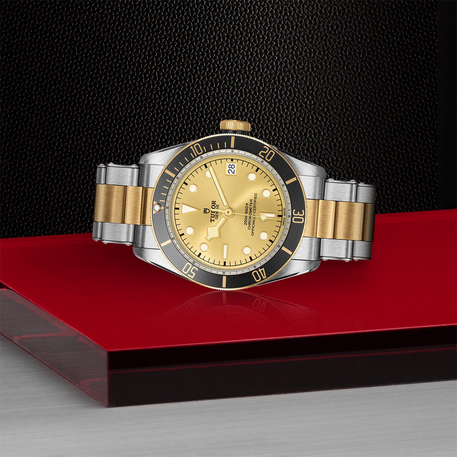 The TUDOR Black Bay S&G, a two-tone gold and silver wristwatch with a gold dial and bezel and self-winding mechanical movement, is displayed on a red and silver geometric stand against a textured black background.