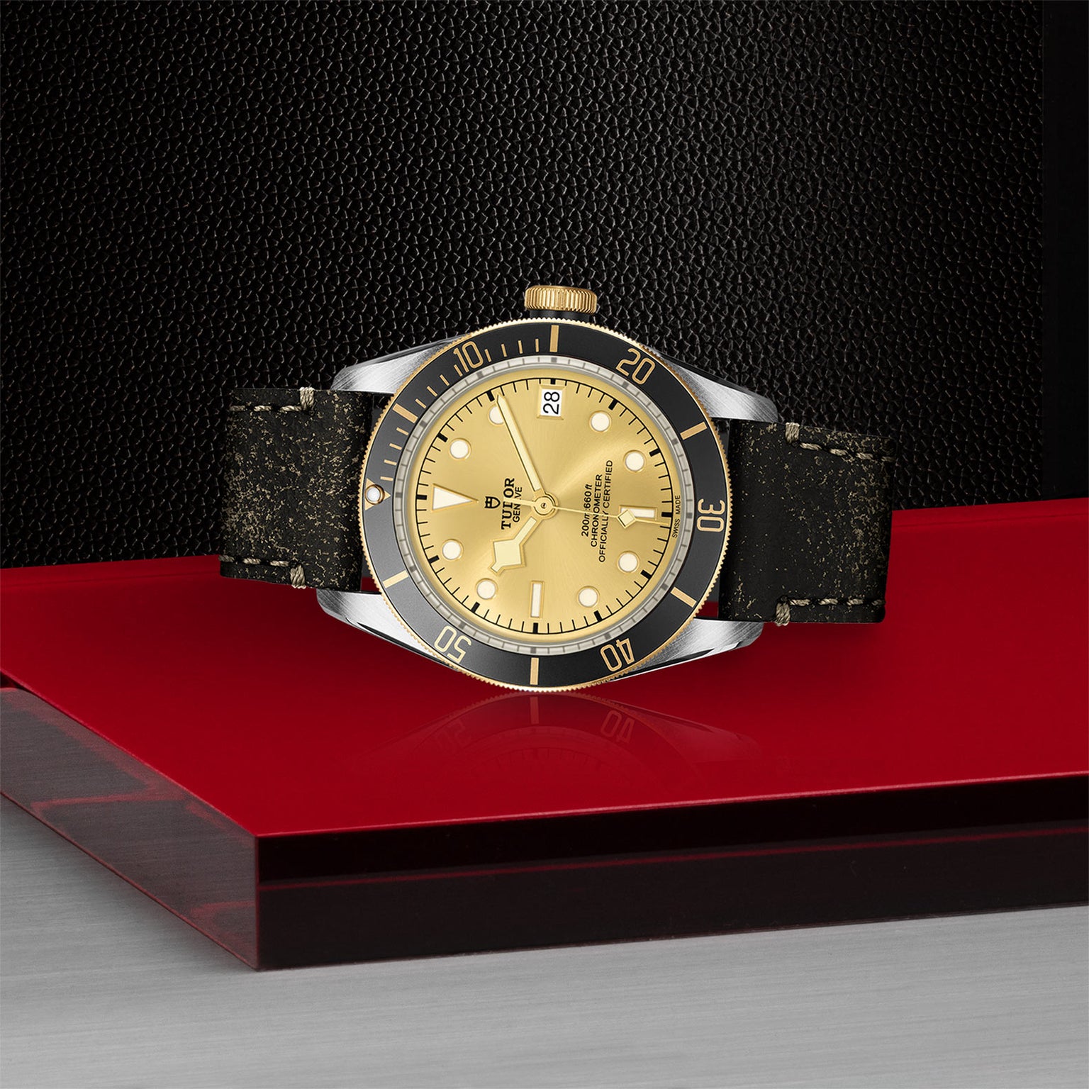 The TUDOR Black Bay S&G wristwatch features a gold dial, black bezel, and distressed black leather strap, elegantly displayed on a glossy red platform set against a textured black background.