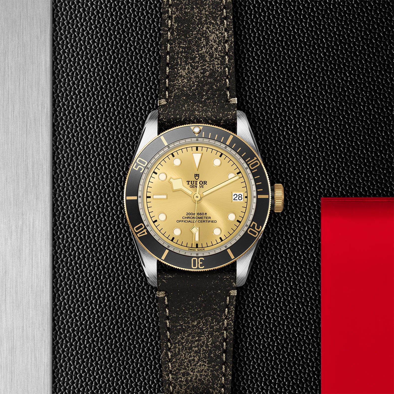 The TUDOR Black Bay S&G features a gold dial, black bezel, and distressed black leather strap—an iconic timepiece displayed on a textured black and red surface.