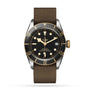 The TUDOR Black Bay S&G wristwatch, featuring a black and gold bezel, black dial with gold accents, and a brown fabric strap, is showcased against a white background—an elegant choice among classic timepieces.