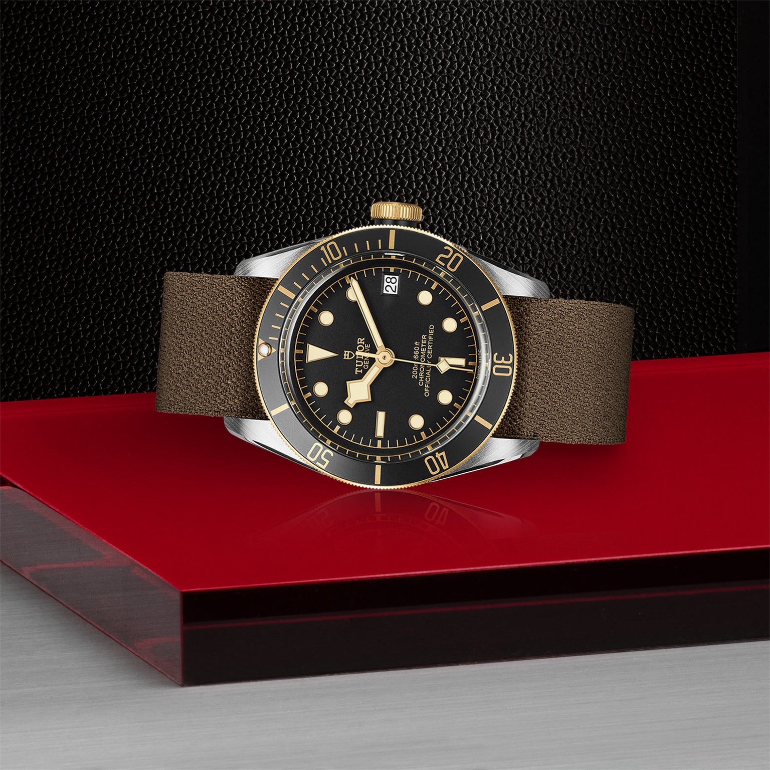 The TUDOR Black Bay S&G wristwatch features a black and gold face, brown leather strap, and silver case, displayed on a red and silver platform against a textured black background.
