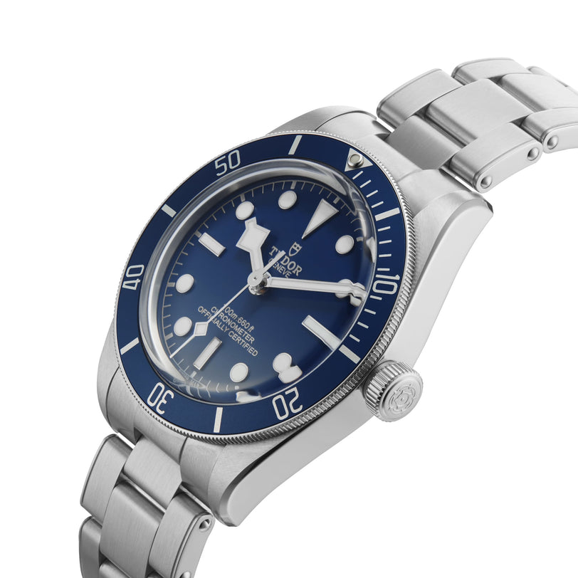 The TUDOR Black Bay 58 is a stainless steel diving watch with a blue dial and bezel, white hour markers, and a metal bracelet—a modern classic.