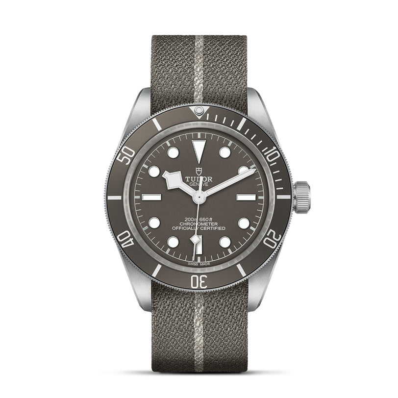 The TUDOR Black Bay 58 925 is a divers’ watch with a 39mm case, gray dial with white markers, silver bezel, and a gray fabric strap featuring a central white stripe.